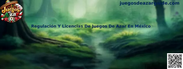 Guía informativa sobre la regulación, los permisos y la seguridad de los juegos de azar en México