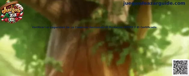 Verificar la seguridad de conexión HTTPS y certificado
