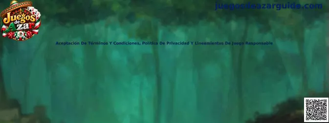 Guía de aceptación de términos y condiciones, política de privacidad y lineamientos de juego responsable en México
